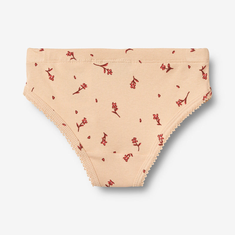 Wheat Main 2 Briefs Havanna Underwear/Bodies 9439 rose water flowers