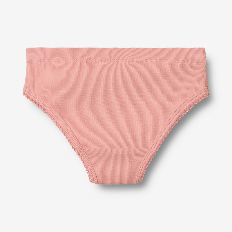 Wheat Main 2 Briefs Havanna Underwear/Bodies 9439 rose water flowers