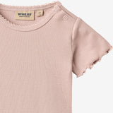 Wheat Main 2 body S/S Maren Body 2487 rose powder