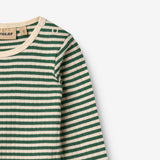 Wheat Main Body L/S Berti Body 4142 green stripe