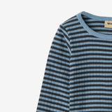 Wheat Main Body L/S Berti Body 9548 bright blue stripe