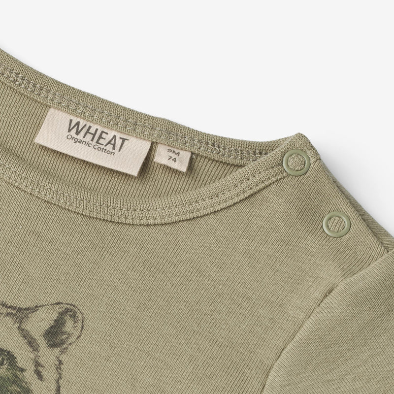 Wheat Main Body Raccoon | Baby Underwear/Bodies 4122 sage