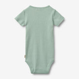 Wheat Main Body S/S Edvald Body 3217 green pool