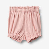 Wheat Main Jersey Shorts Lace Sonja Shorts 9437 rose sprinkle
