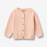 Wheat Main Knit Cardigan Maia Cardigan 2400 powder