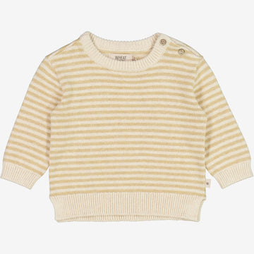 Wheat Main  Knit Pullover Morgan | Baby Knitted Tops 9307 seeds stripe