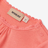 Wheat Main Rib Body L/S Lotta Underwear/Bodies 2216 light coral