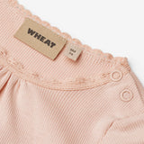 Wheat Main Rib Body L/S Lotta Body 2400 powder