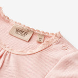 Wheat Main Rib Body S/S Edna | Baby Underwear/Bodies 2281 rose ballet
