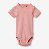 Wheat Main Rib Body S/S Lace Elisa Underwear/Bodies 2026 rose