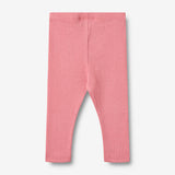 Wheat Main Rib Leggings Maddy Legging 9568 soft pink