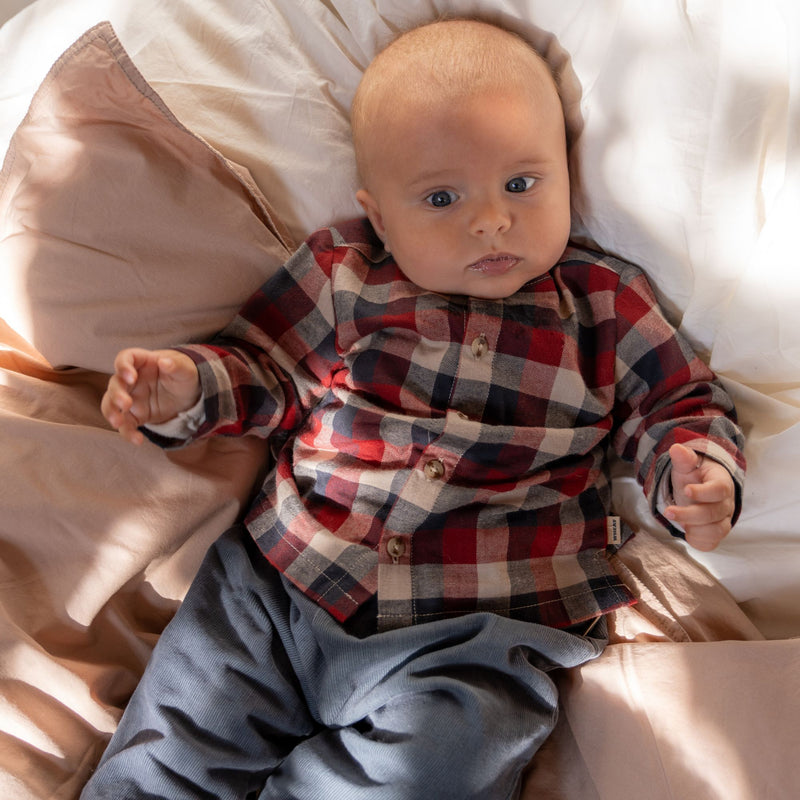 Wheat Main Shirt Shelby Shirts and Blouses 9588 red blue check