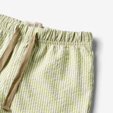 Wheat Main Shorts Milton Shorts 4142 green stripe