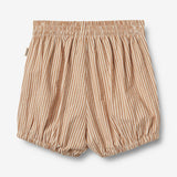 Wheat Main Shorts Ollie Shorts 5078 caramel stripe