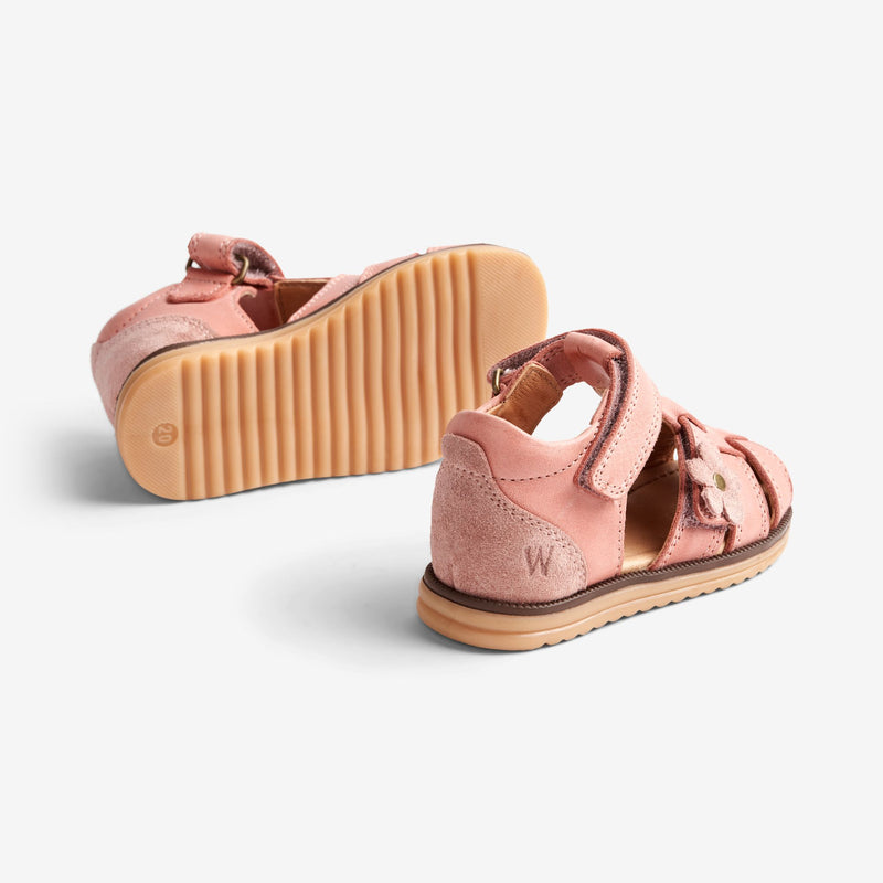 Wheat Footwear Sky Sandal Flower | Baby Prewalker Sandals 2026 rose