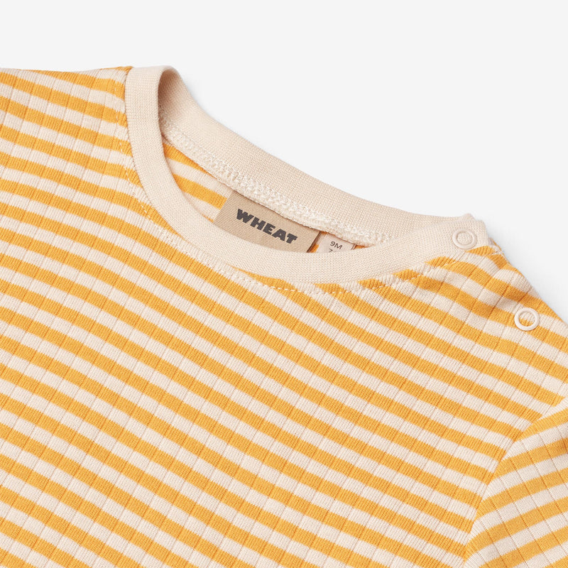 Wheat Main T-shirt S/S Fabian T-Shirt 9449 yellow rib stripe