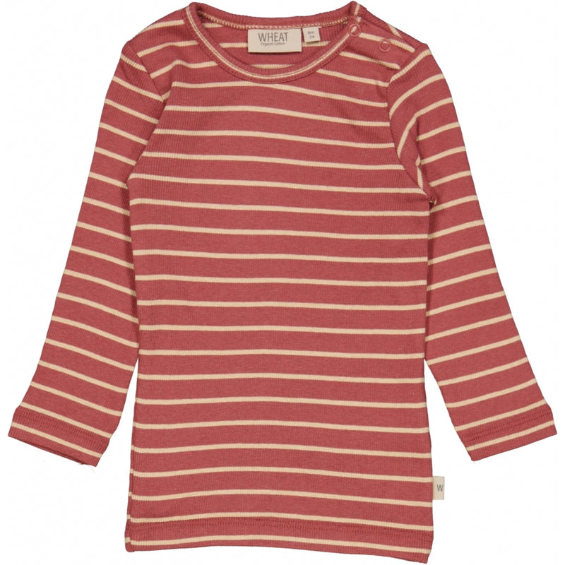 Wheat Rib T-Shirt LS Jersey Tops and T-Shirts 9079 apple butter stripe
