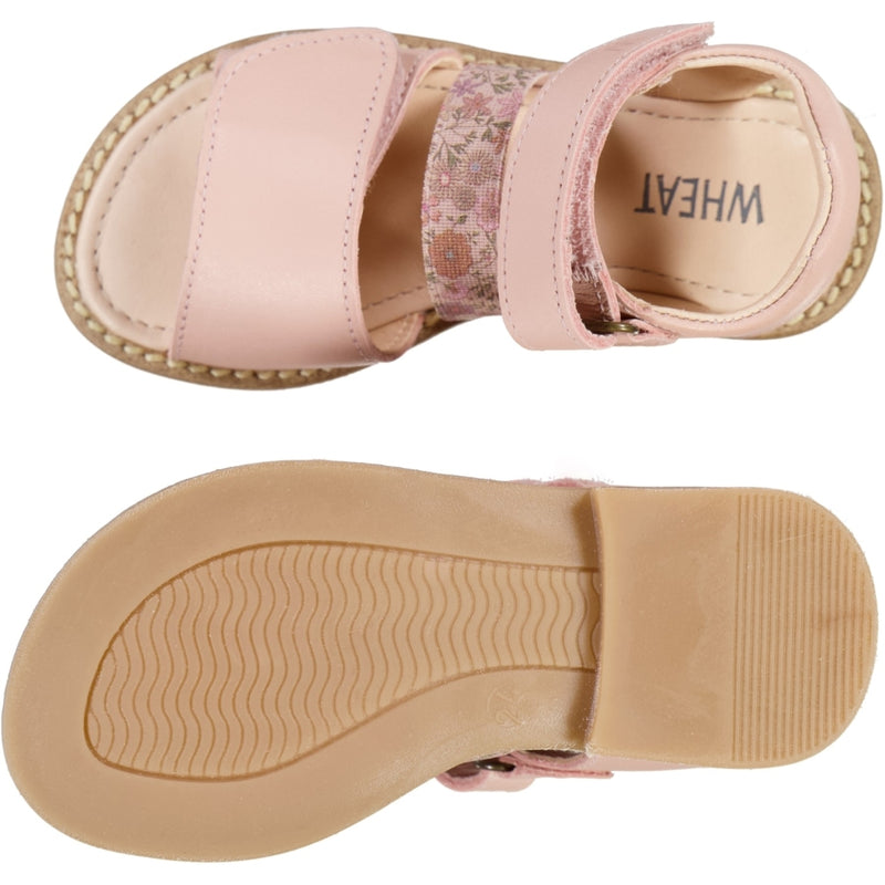 Wheat Footwear Taysom sandal Sandals 2025 rose sand